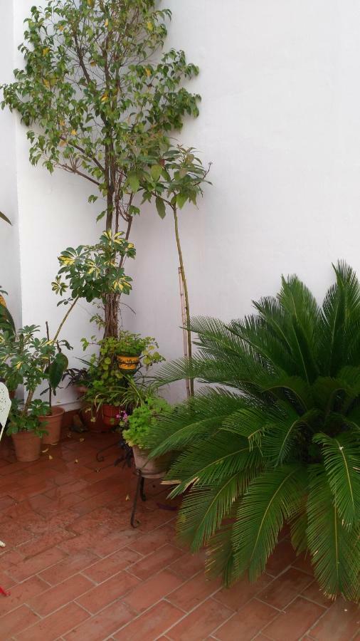 Patios Con Encanto กอร์โดบา ภายนอก รูปภาพ