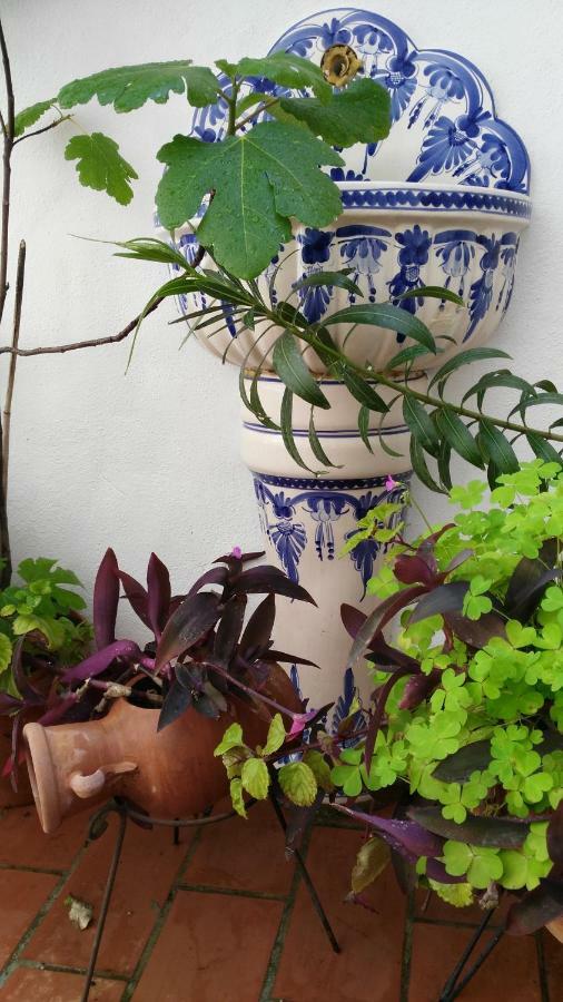 Patios Con Encanto กอร์โดบา ภายนอก รูปภาพ
