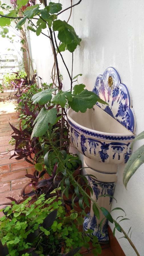 Patios Con Encanto กอร์โดบา ภายนอก รูปภาพ